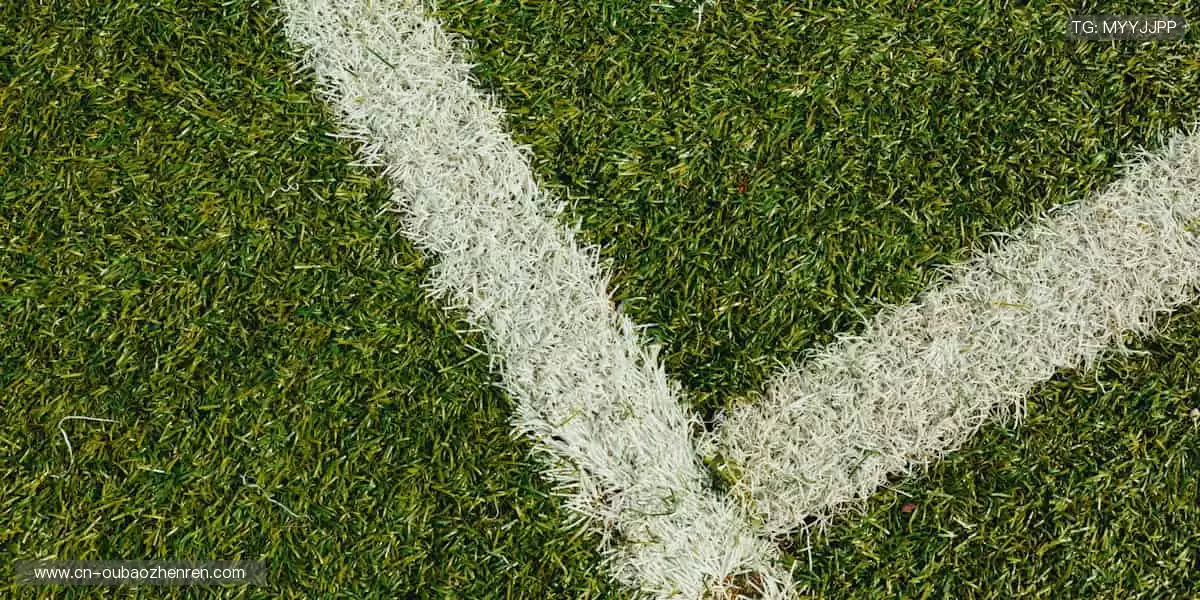 随时随地,直击赛场!📱🎯